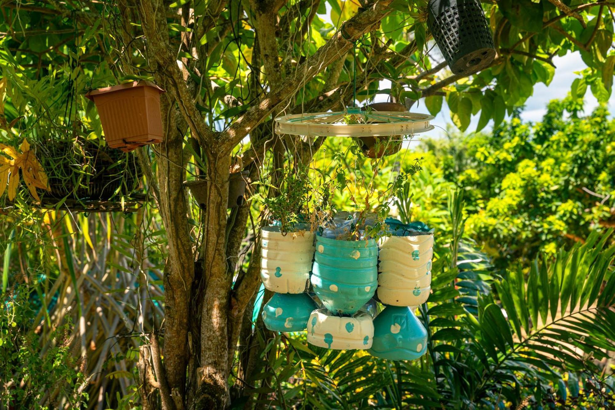 Lemongrass Lodge Beau Vallon  Eksteriør billede