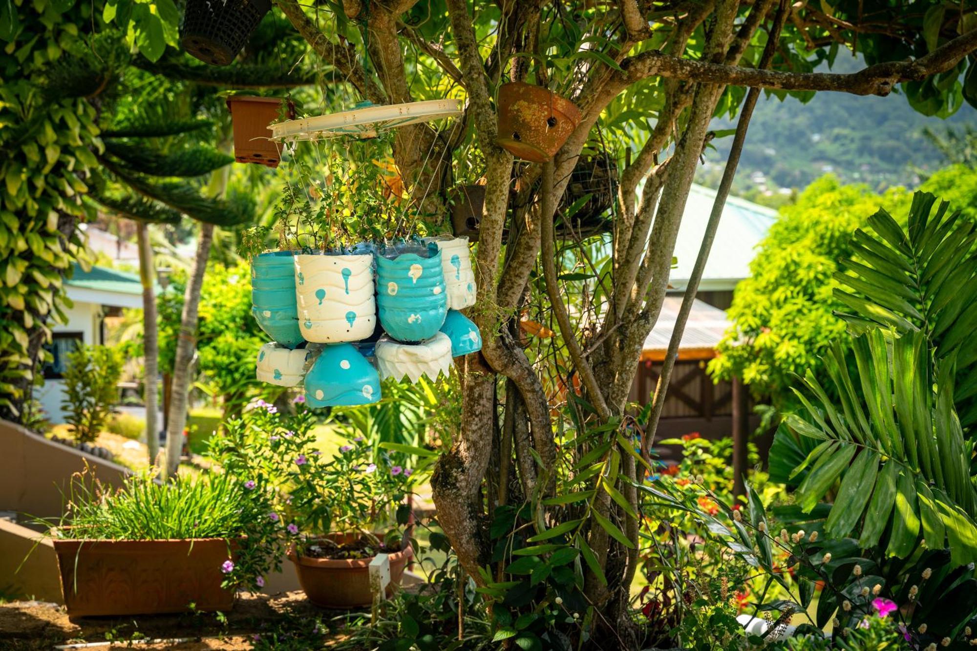 Lemongrass Lodge Beau Vallon  Eksteriør billede