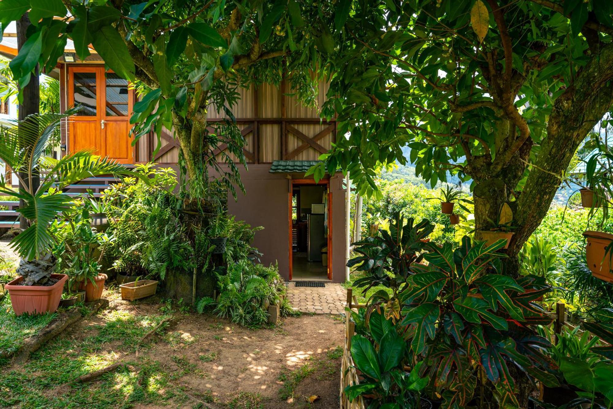 Lemongrass Lodge Beau Vallon  Eksteriør billede