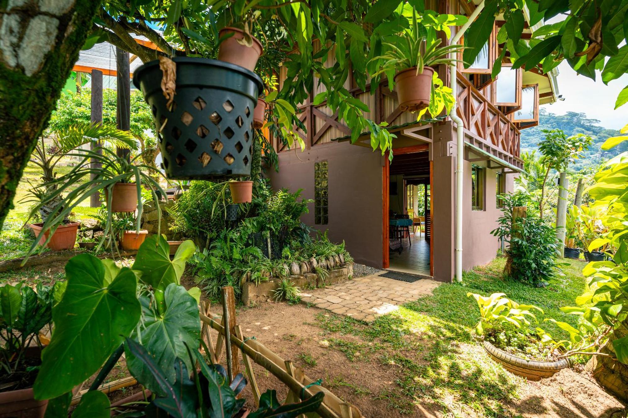 Lemongrass Lodge Beau Vallon  Eksteriør billede